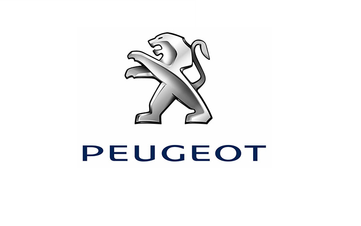 PEUGEOT SERVICE BOX DOCUMENTATION BACKUP 2013